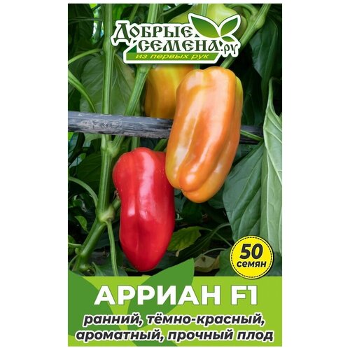 Семена перца Арриан F1 - 50 шт - Добрые Семена. ру
