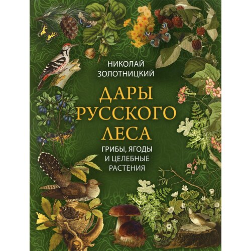 Дары русского леса. Грибы ягоды и целительные растения / Золотницкий Н. Ф.