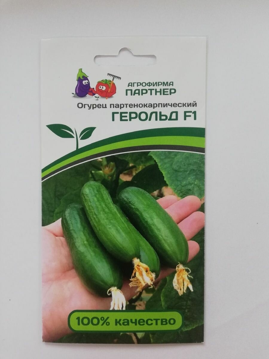 Огурец Герольд F1
