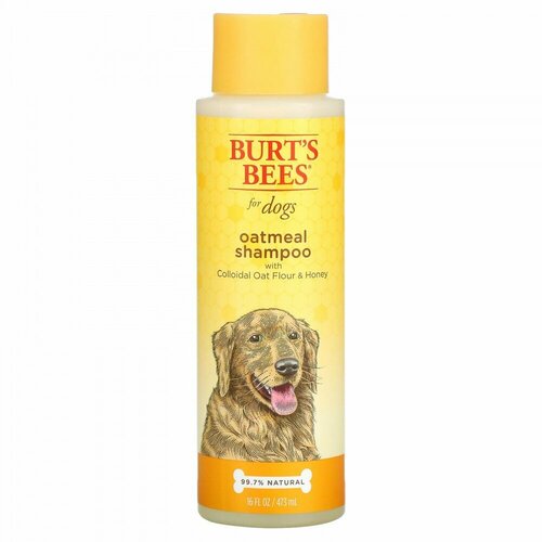 Burt' s Bees, Овсяный шампунь для собак с коллоидной овсяной мукой и медом, 473 мл (16 жидк. Унций)