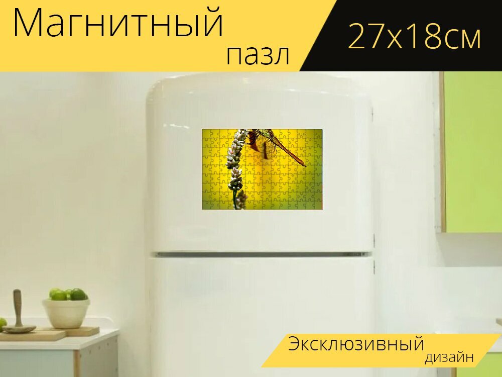 Магнитный пазл "Стрекоза, природа, али" на холодильник 27 x 18 см.