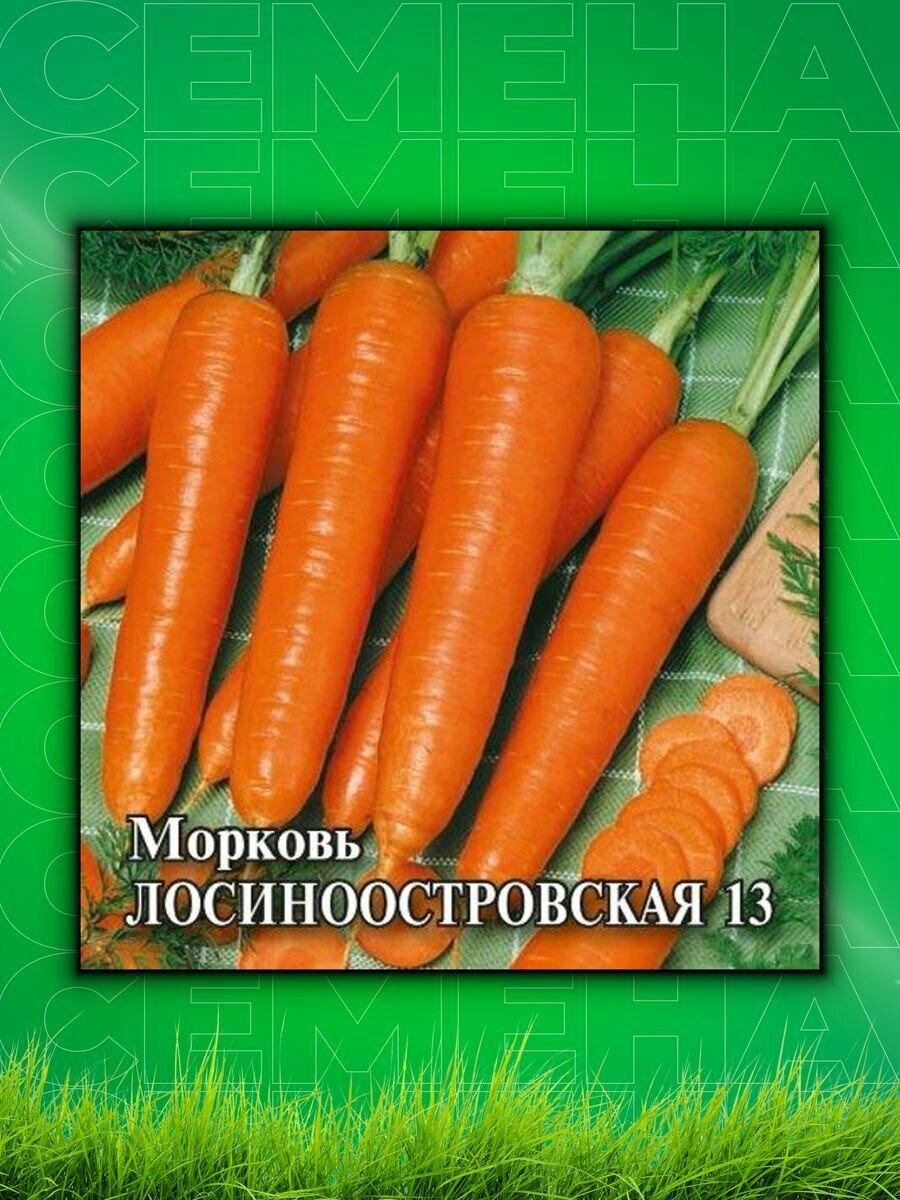 Морковь Лосиноостровская 13 25,0 г