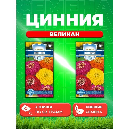 Цинния Великан, смесь, 0,3г, Гавриш, Русский богатырь (2уп) семена гавриш русский богатырь цинния великан смесь 0 3 г