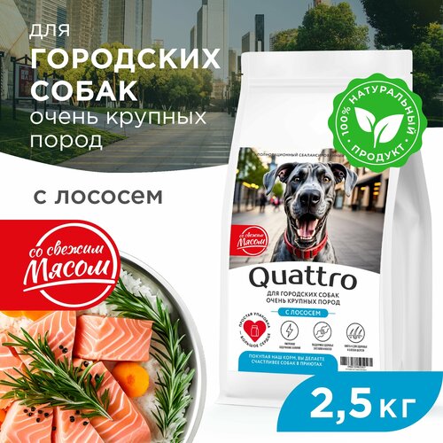 Корм сухой для взрослых собак очень крупных пород, премиум полнорационный комплекс, для городских собак, с лососем, 2,5 кг, QUATTRO