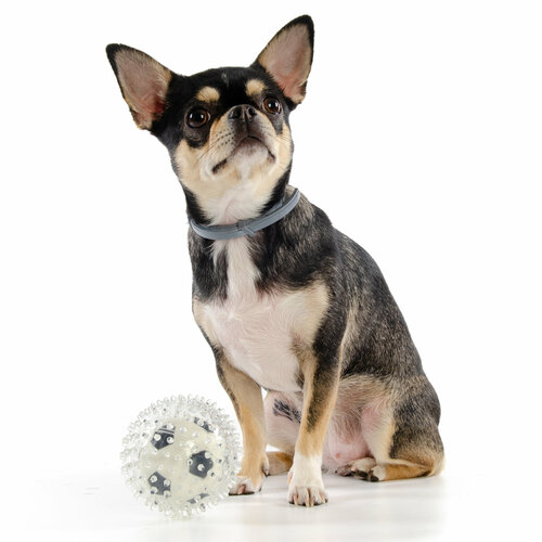 Игрушка для собак резиновая EliteDog "Мяч футбольный 2в1", бело-чёрная, 9см