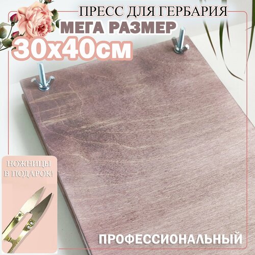 Пресс для гербария 2990₽