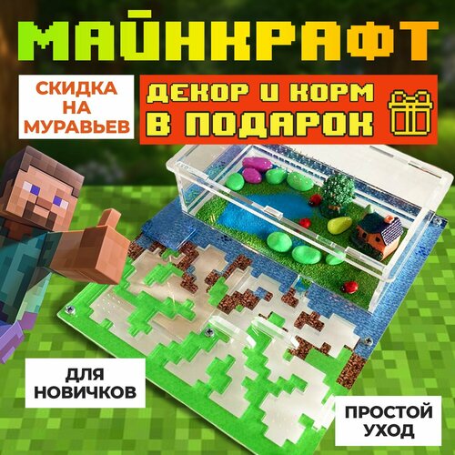 Муравьиная ферма ВСЕ включено 