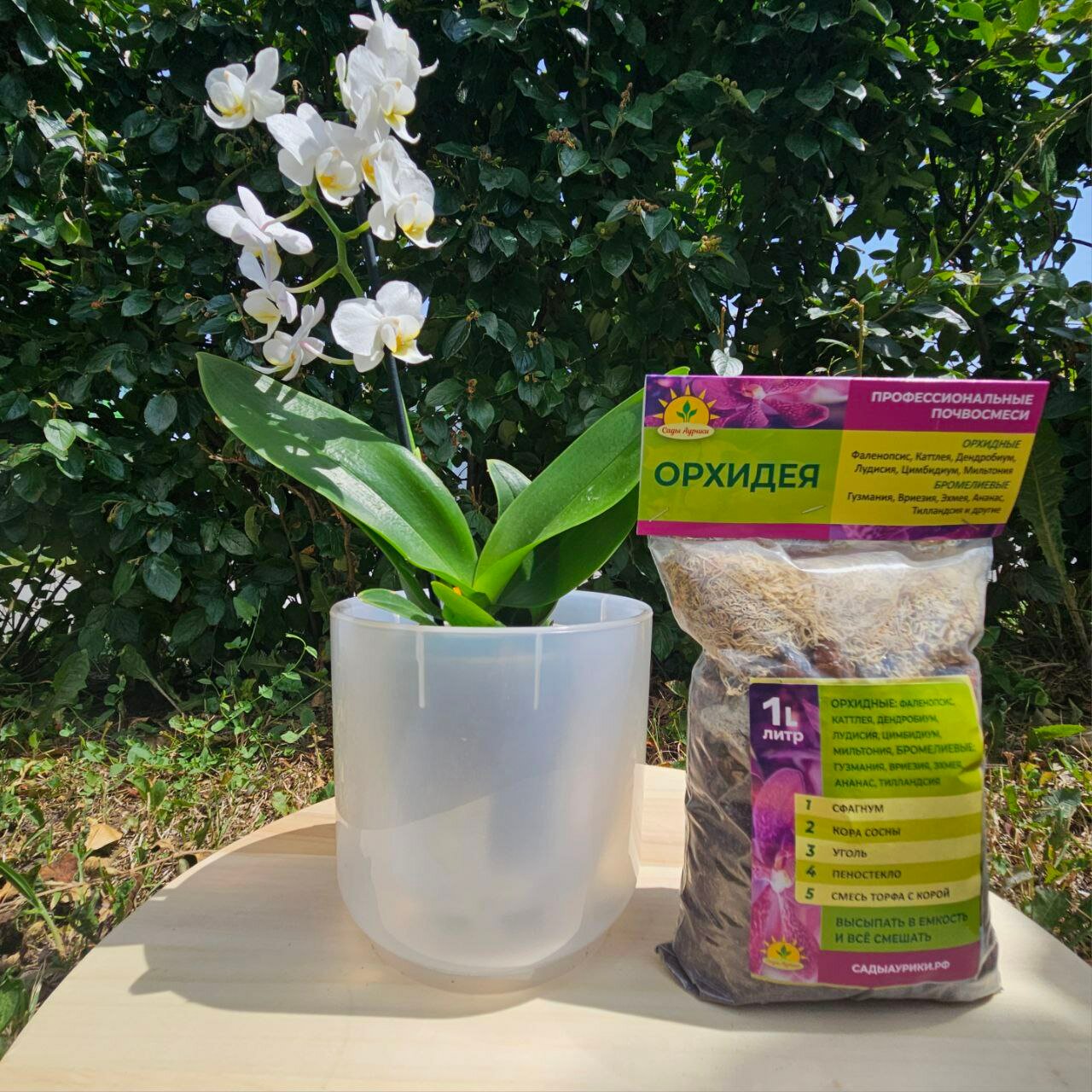 фото Набор Горшок для пересадки растений дельта 1,5 л. Прозрачный с землей, Субстратный компонент, набор горшок плюс земля.