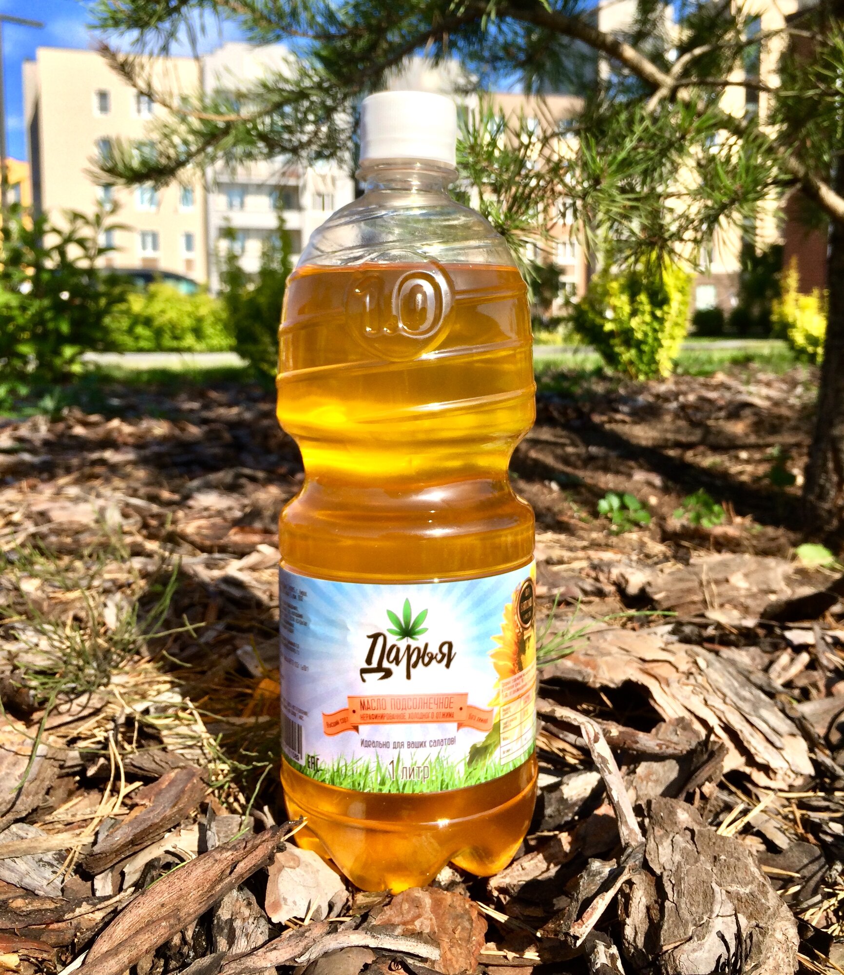 фото "Живое масло Дарья" - нерафинированное подсолнечное масло объемом 1 литр