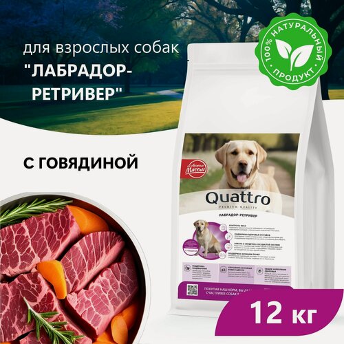 Изображение товара Quattro корм для взрослых собак породы Лабрадор-ретривер, с говядиной 12 кг