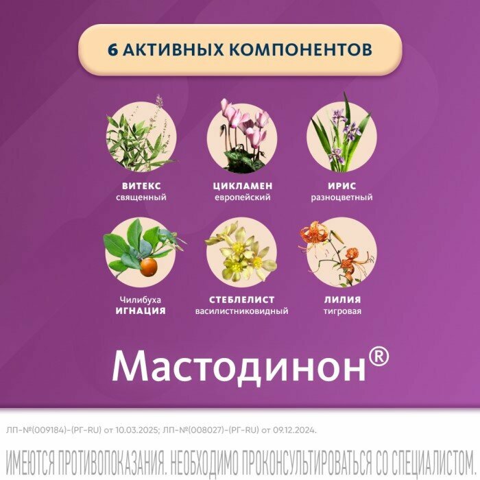 Изображение Мастодинон, таблетки, 120 шт.