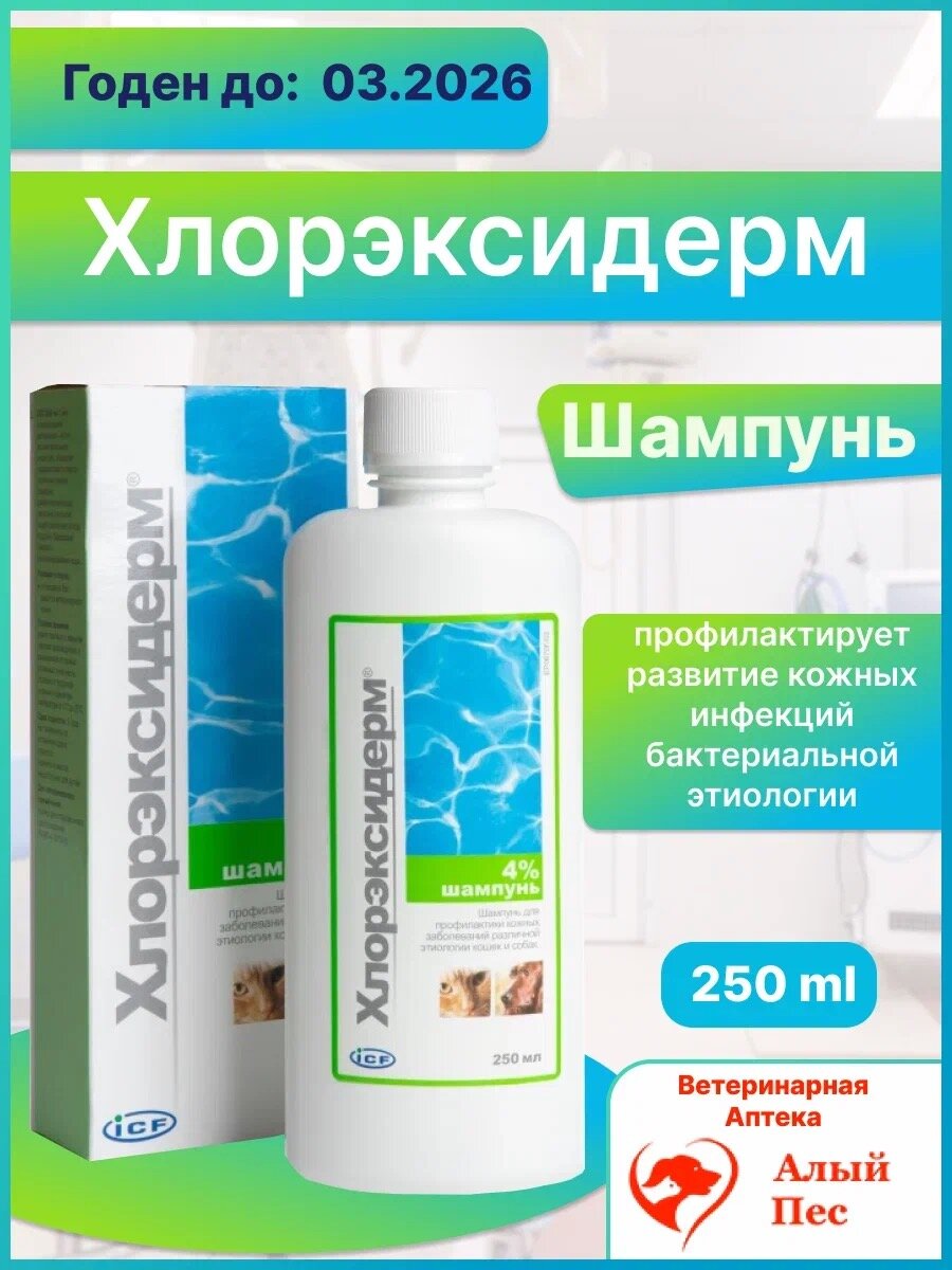 Шампунь -шампунь ICF Хлорэксидерм для собак и кошек с хлоргексидином 4% , 250 мл , 250 г