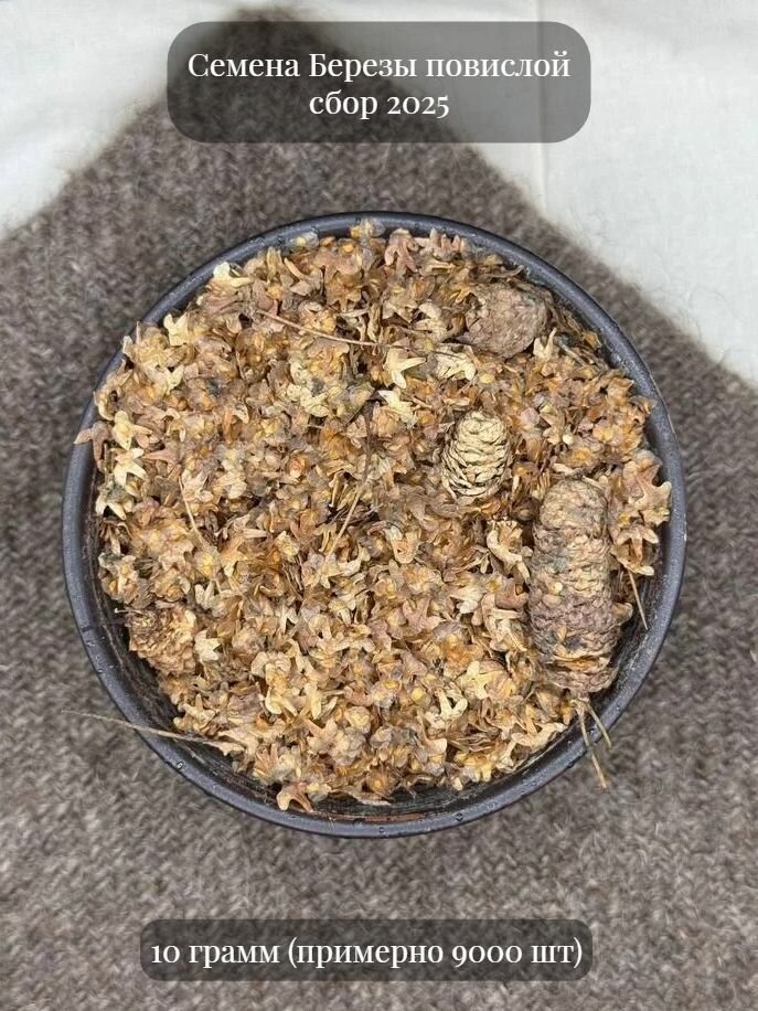 Семена Березы повислой 10 грамм (примерно 9000 шт)