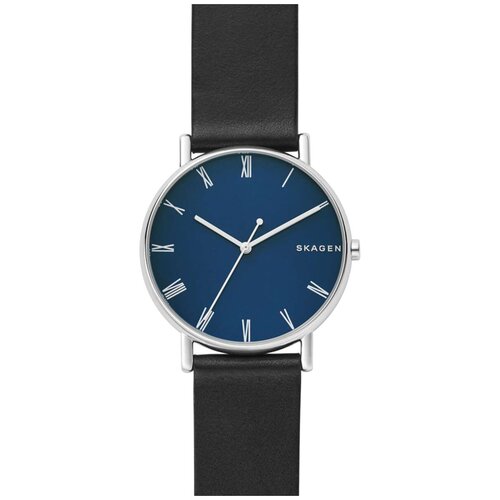 Наручные часы SKAGEN Signatur, серебряный, синий