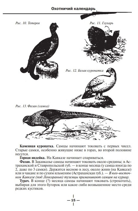 Все об охоте (Сабанеев Леонид Павлович) - фото №19