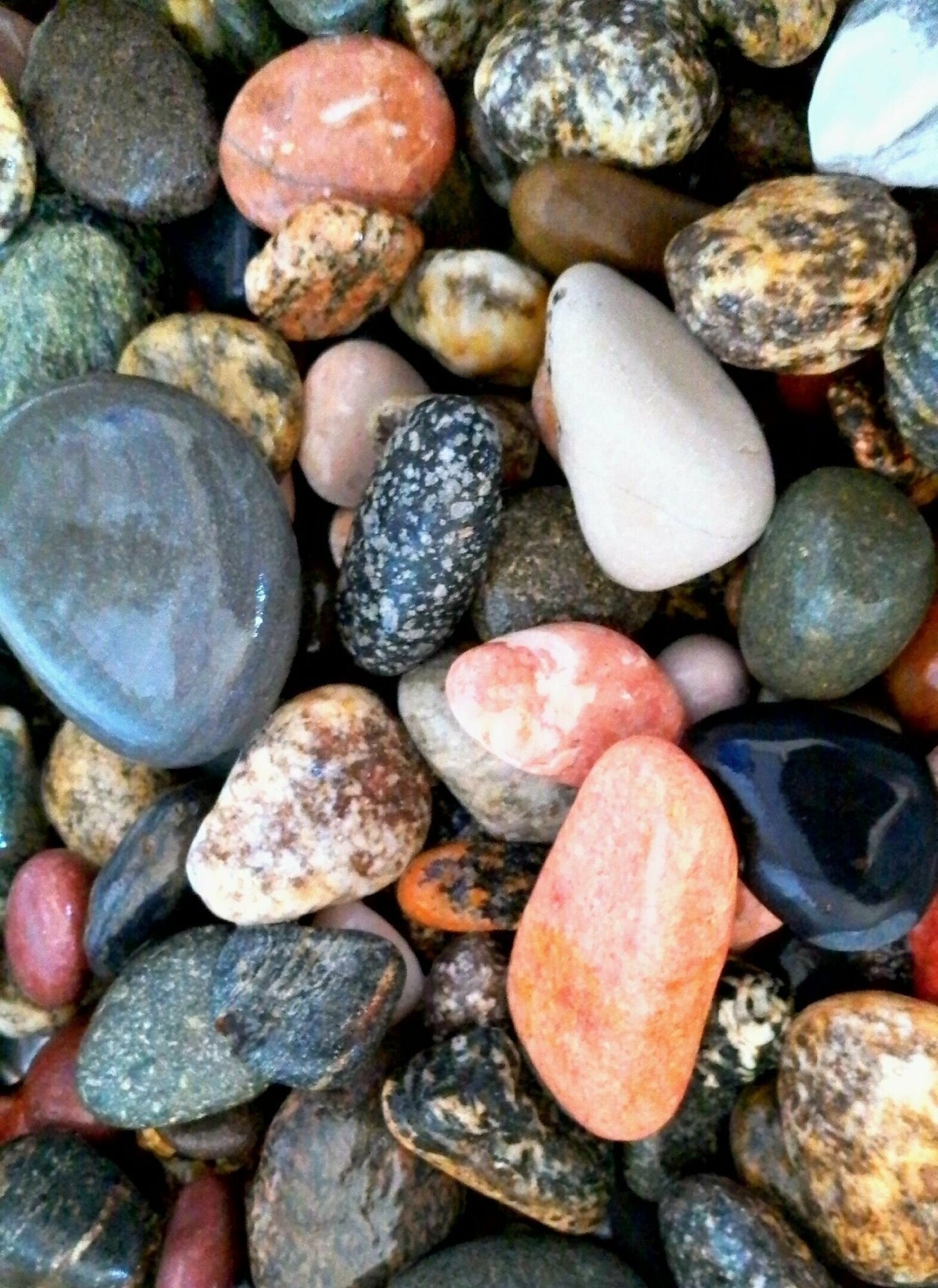 Галька черноморская цветная, природный камень 1кг - фотография № 2