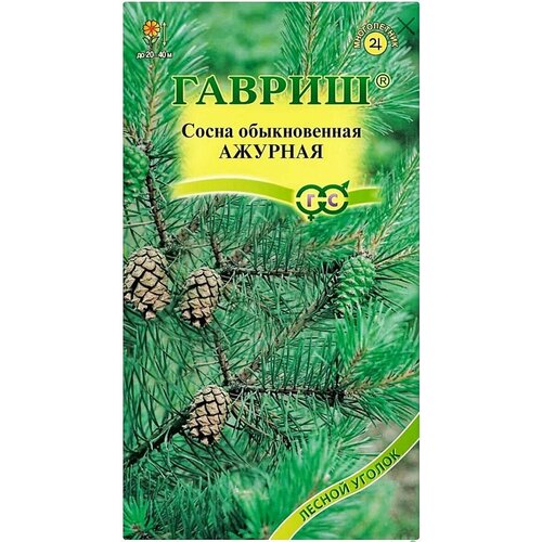 Сосна обыкновенная Ажурная, 1 пакет, семена 0,2 гр, Гавриш