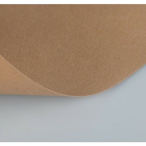 Lana Бумага для пастели Lana светло-коричневый 160г/м2, 42х29,7 см, 10л