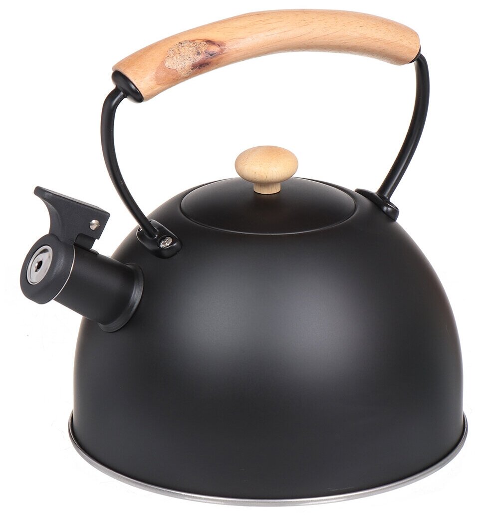 Чайник нержавеющая сталь, 2.5 л, со свистком, матовый, ручка металл, дерево, Daniks, черный, MSY-078B - фотография № 1