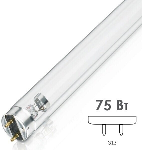 LEDVANCE УФ-лампа безозоновая TIBERA UVC 75W G13 4058075499362