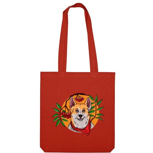 фото Сумка us basic, красный