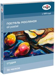 ГАММА Пастель масляная Студия, 36 шт