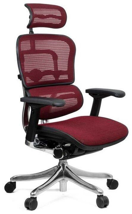 Компьютерное кресло Comfort Seating Ergohuman Plus для руководителя, обивка: текстиль, цвет: bordo