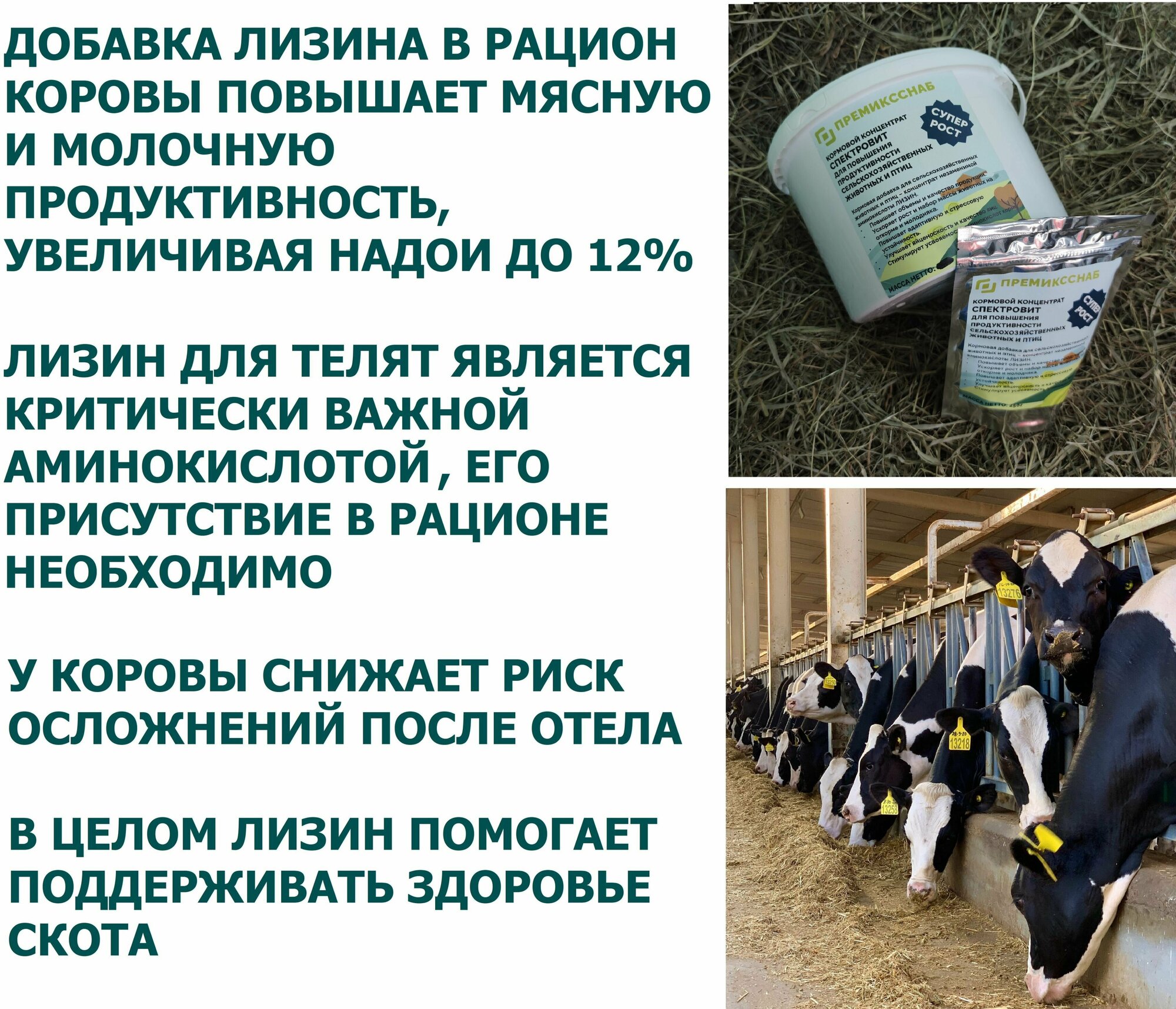 Лизин кормовой концентрат для повышения продуктивности с/х животных и птиц - фотография № 2