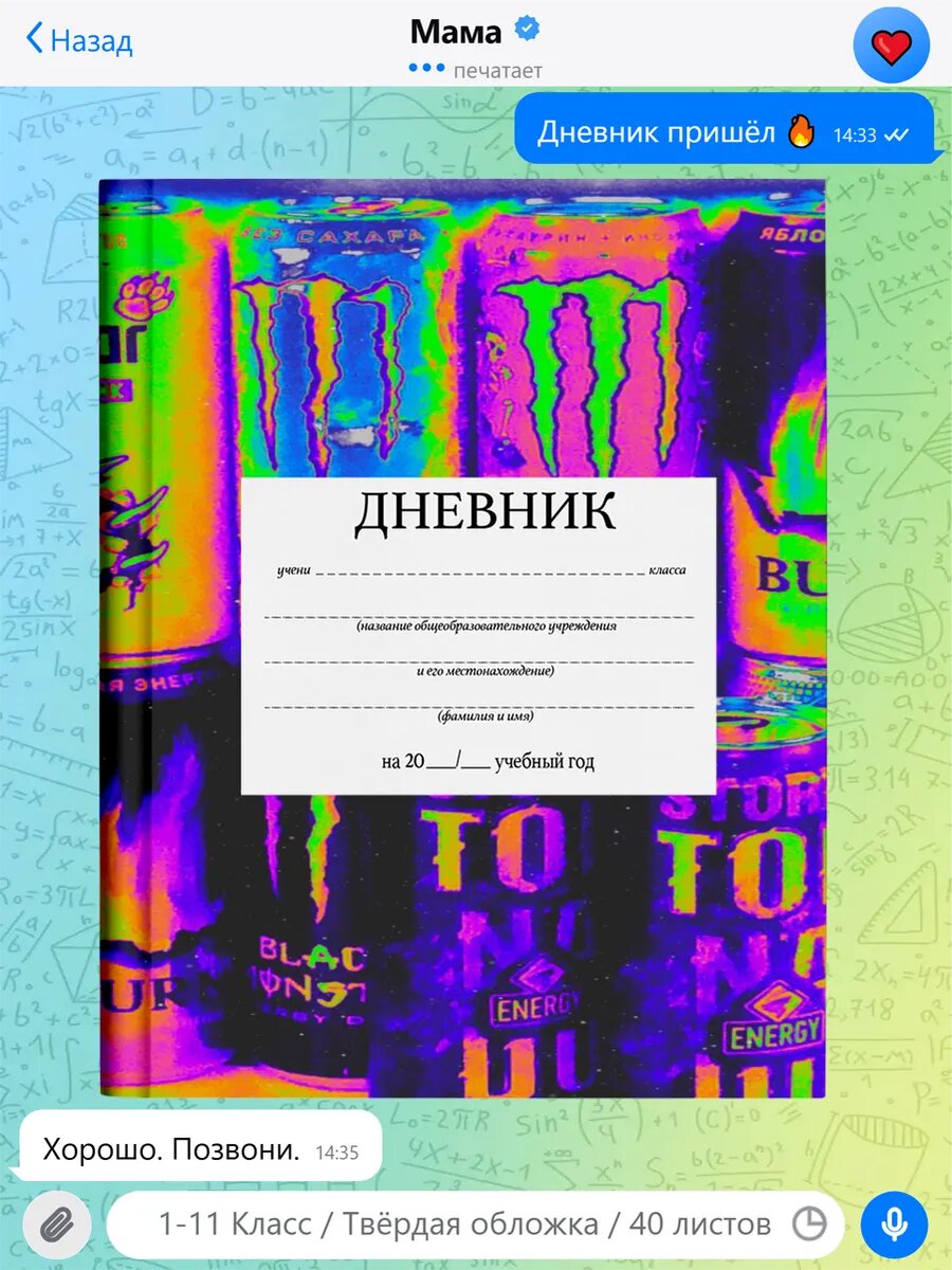 Школьный дневник с принтом Роблокс