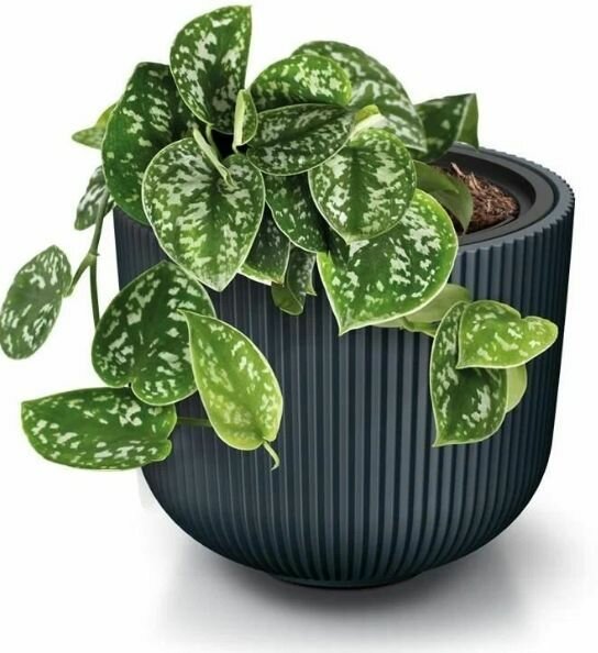 фото DBML400-S433 Кашпо MILLY d39 h32 см антрацит (anthracite) с вкладышем