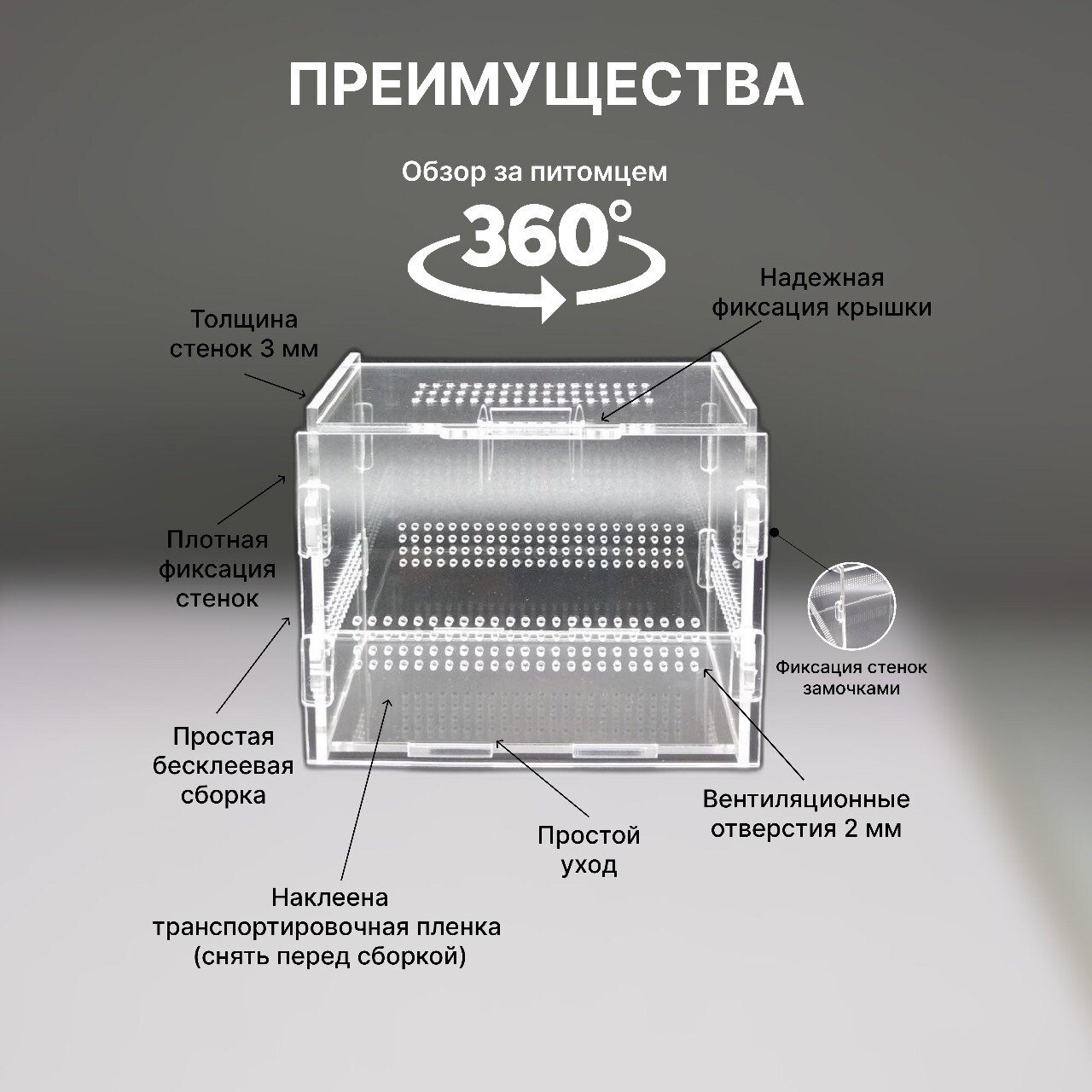 Переноска, террариум, террариум для паука, террариум для рептилий, террариумистика, террариум для растений, террариум для богомола