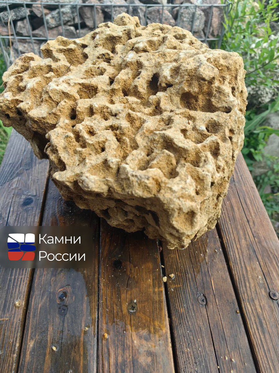 Камень декоративный для сада, Крымский коралл,1 шт,11 кг - фотография № 2