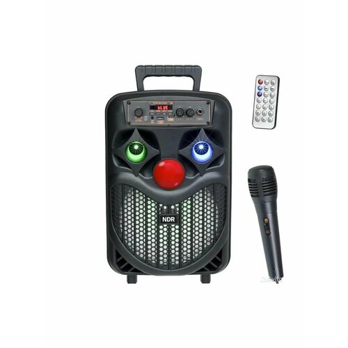 Портативная беспроводная колонка NDR-P66 256000₽