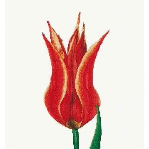 Red/Yellow Lily flowering tulip (Красно-желтый лилиецветный тюльпан) #515 Thea Gouverneur Набор для вышивания 34 x 36 см Счетный крест тюльпан лилироза лилиецветный 5шт