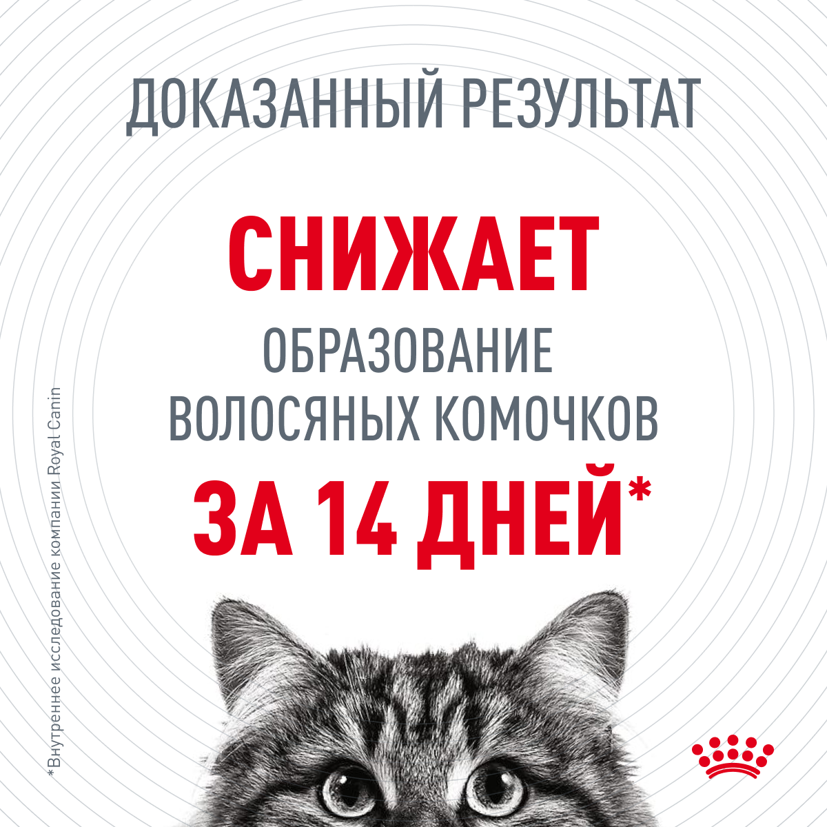 Корм для кошек ROYAL CANIN - фото №4