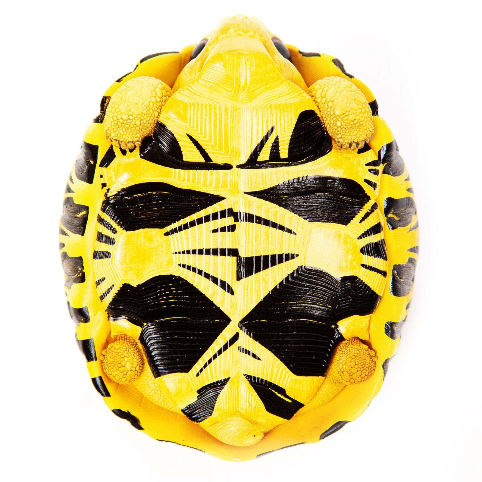 EXOPRIMA Фигурка лучевой черепахи, чёрно-жёлтая EXOPRIMA фигурки - фото №5
