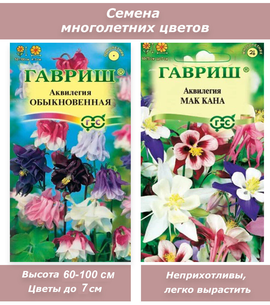 Семена многолетних цветов Аквилегия смесь расцветок