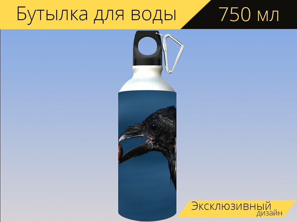 Бутылка фляга для воды "Ворона, чернить, птица" 750 мл. с карабином и принтом