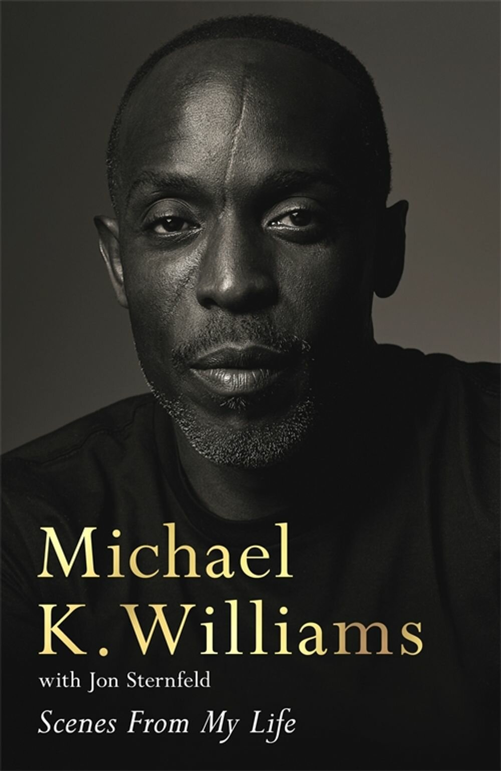 Scenes from My Life (Williams Michael K.; Sternfeld Jon) - фото №1