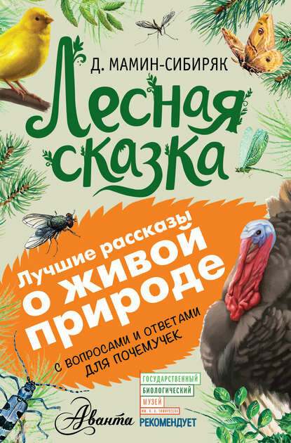 Лесная сказка. С вопросами и ответами для почемучек [Цифровая книга]