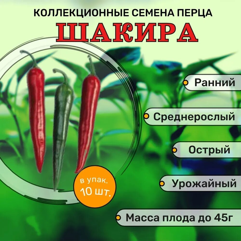 Коллекционные семена перца острого Шакира F1