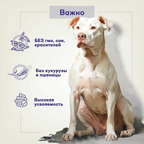 Корм для собак средних и крупных пород с чувствительным пищеварением Buddy&Sol 3 кг сухой суперпремиум-класса с индейкой и уткой