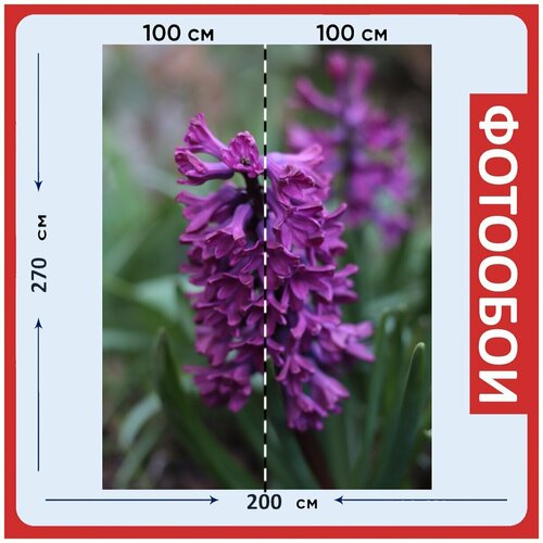 Фотообои Цветок фиолетовый весна 200x270 см флизелиновыена стену 2930₽