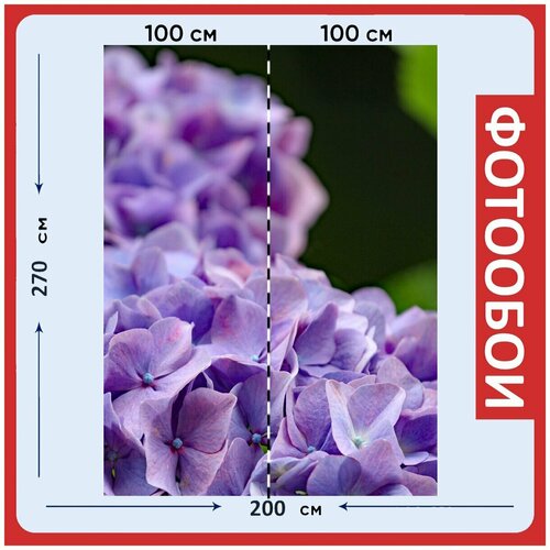 Фотообои Гортензия цветок фиолетовый 200x270 см флизелиновыена стену 2960₽