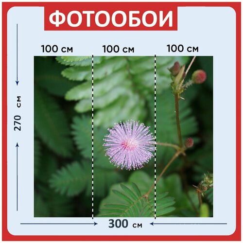 Фотообои Фиолетовый листья цветы 300x270 см флизелиновыена стену 3940₽