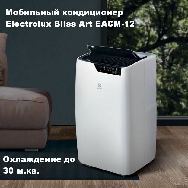 фото Мобильный кондиционер Electrolux Bliss Art EACM-12 GT/N6