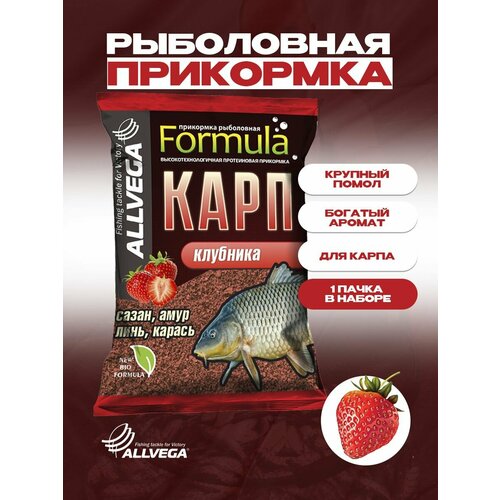 Прикормка для рыбалки ALLVEGA Formula Карп клубника 1 пачка 0,9кг