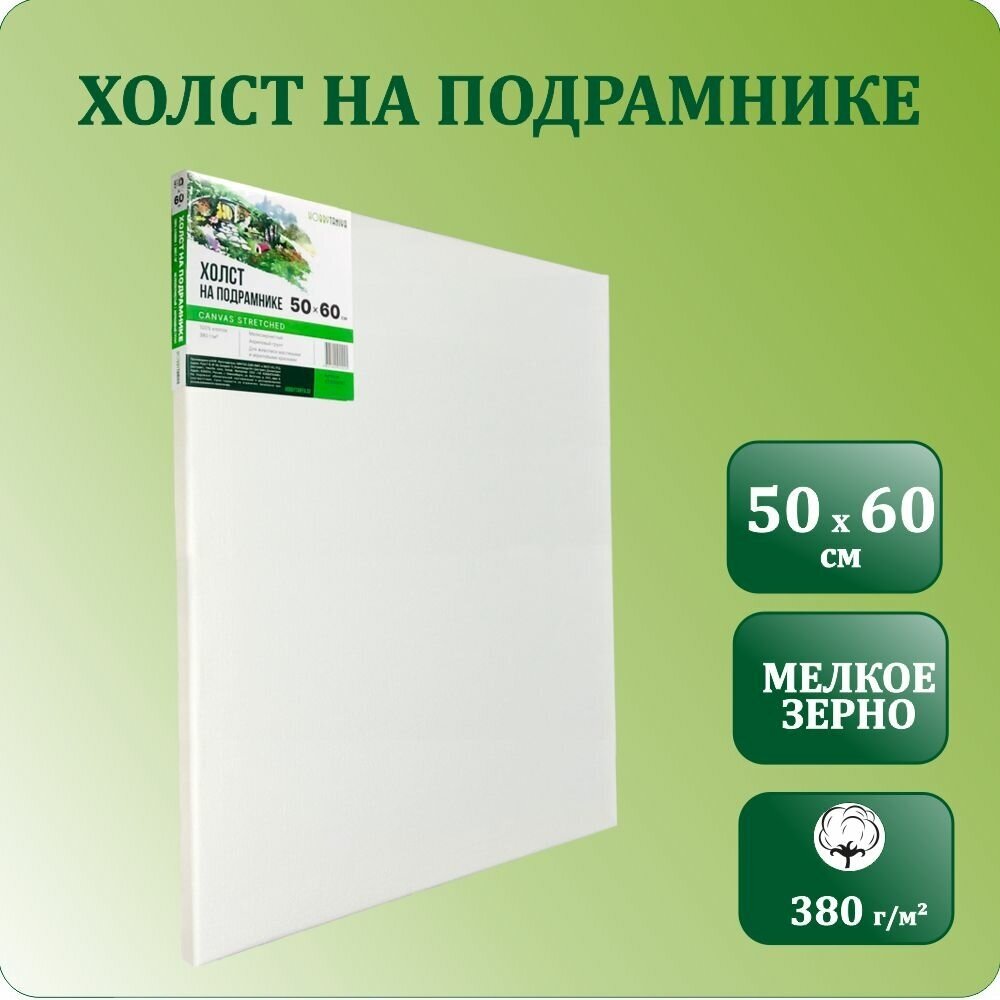 Холст грунтованный на подрамнике 50х60 см, Хоббитания, хлопок 380 гр/м2, модульный подрамник, мелкое зерно