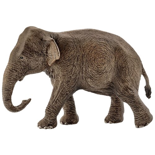 Фигурка Schleich Азиатский слон самка 14753, 8.5 см schleich статуэтка азиатский слон
