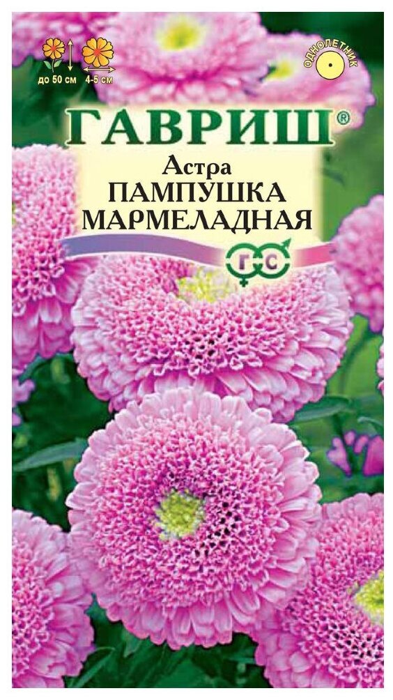 Семена Гавриш Астра Пампушка мармеладная розовая помпонная 03 г